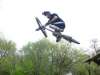 Mael Bourhis - VTT et BMX Bretagne - creation site itnernet