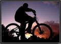 Jonathane Lebon - VTT et BMX Bretagne - creation site itnernet