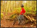 Jonathane Lebon - VTT et BMX Bretagne - creation site itnernet