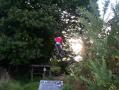 Alan Bernard - VTT et BMX Bretagne - creation site itnernet