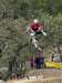 Anthony Rocci - VTT et BMX Bretagne - creation site itnernet