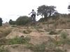 Frdric Abiven - VTT et BMX Bretagne - creation site itnernet